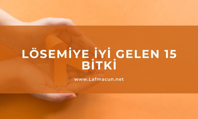 Lösemiye İyi Gelen 15 Bitki 1 Lösemiye İyi Gelen 15 Bitki