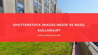 Shutterstock Images Nedir ve Nasıl Kullanılır? 36 Shutterstock Images Nedir ve Nasıl Kullanılır?