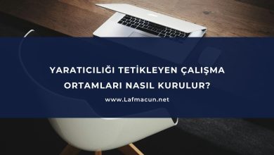 Yaratıcılığı Tetikleyen Çalışma Ortamları Nasıl Kurulur? 31 Yaratıcılığı Tetikleyen Çalışma Ortamları Nasıl Kurulur?
