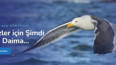 İngilizce Tercüme Fiyatları ve İsveççe Türkçe Çeviri 29 İngilizce Tercüme Fiyatları ve İsveççe Türkçe Çeviri