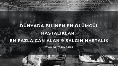 Dünyada Bilinen En Ölümcül Hastalıklar: En Fazla Can Alan 9 Salgın Hastalık 17 Dünyada Bilinen En Ölümcül Hastalıklar